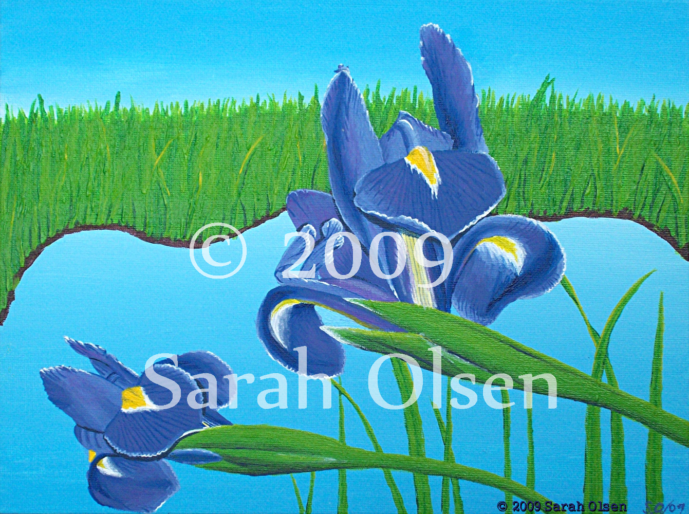 Two beautiful irises rendered in high detail by a beautiful blue pond. The landscape is sunlit without a cloud in the sky.