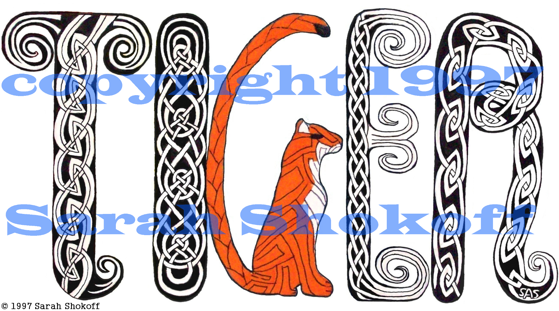 the word tiger is made up of four kinds of celtic knotwork in black and white and an orange tiger