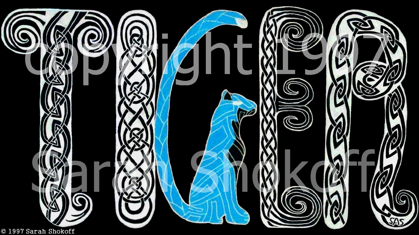 the word tiger is made up of 4 differnt kinds of Celtic knotwork in black and white and a blue tiger