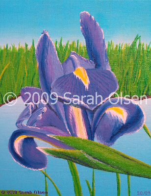 purple iris with background of blue sky, grass, and a lake